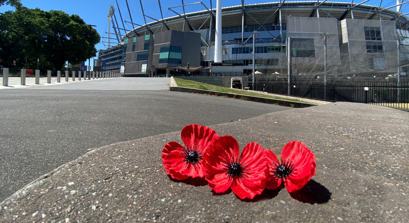 Poppies for Remembrance Day