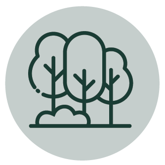 Trees icon