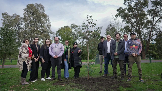 Participants in tree planting in Yarra Park